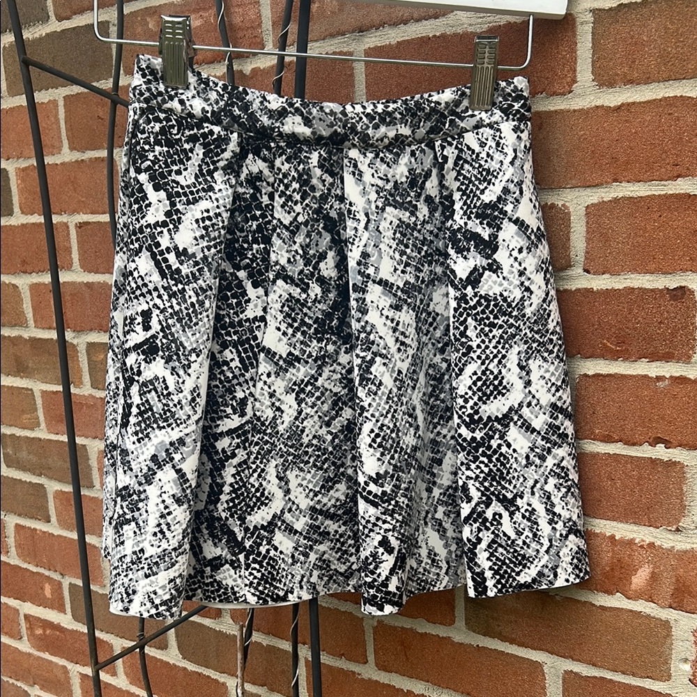 Abercrombie & Fitch Black and White Pleated Skater Mini Skirt